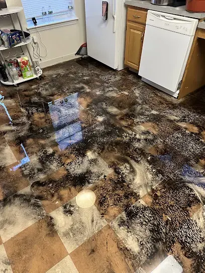 Appliance Leak Water Damage in Wareham, MA